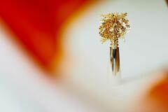 trophy Randstad Award red-006.jpg