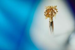 trophy%20Randstad%20Award%20blue-009-2.jpg