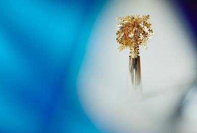trophy%20Randstad%20Award%20blue-009-2.jpg